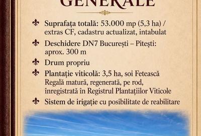 Teren de 53000 mp, în Călinești - 6