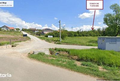 Teren de 11600 mp, în Cetariu - 1