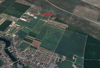 Teren intravilan, 12.200mp, Balotesti, oportunitate de investitie - 3