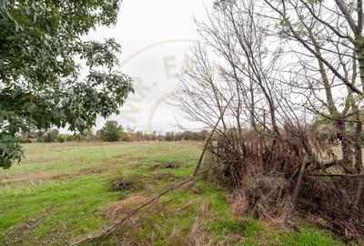 Casa traditionala la tara in Gliganu de Jos Com. Rociu-Arges la 30 km de Pitesti - 15