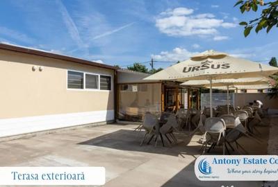 Spațiu comercial, de 195 mp, în Budureasa - 5