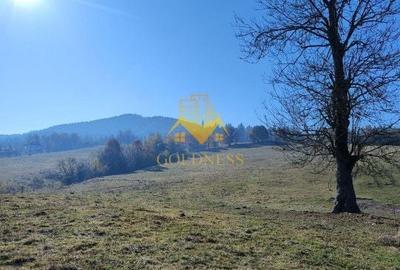 Teren de vanzare, intravilan, 16667 mp, Abrud, Jud. Alba - 2