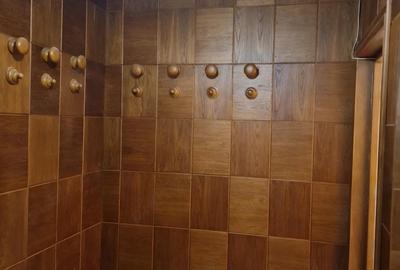 Apartament cu 3 camere decomandat în Pajura - 8