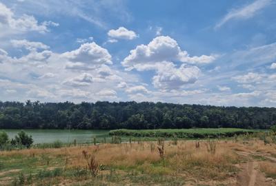 Teren Construcții intravilan de 2110 mp, în Brănești - 2