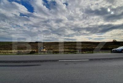 Teren de 28800MP(2.8ha). Pregatit pentru investitie! - 3