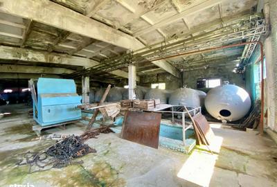 Teren de 50000 mp, în Central - 7