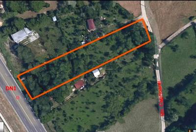 Teren Construcții intravilan de 2577 mp, în Frăsinet - 4