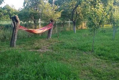 Casă cu 2 camere cu Teren 1800 Mp în Bumbești-Pițic - 2