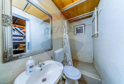 Studio spectaculos pe 2 niveluri in Palatul Neumann, exclusiv - 7
