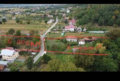 Teren de 7000 mp, în Băiculești - 10