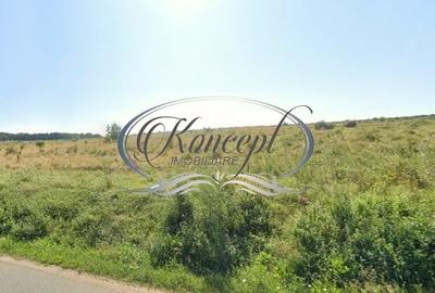 Teren intravilan in Salicea - 2