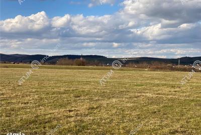 Spațiu comercial, în Cristian - 10