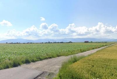 Teren în Hărman - 1