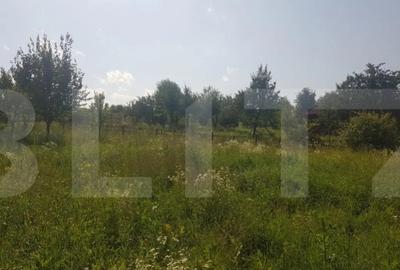 Teren de 11600 mp, în Someșeni - 2