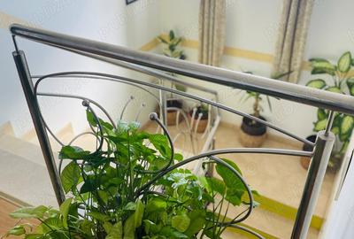 Casa, 7 camere, Ganeasa, Ilfov - 8