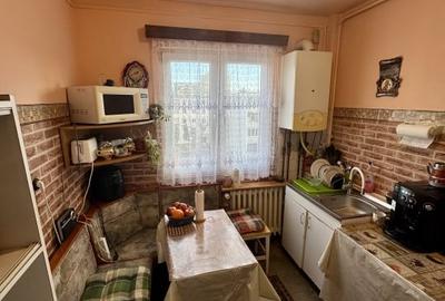 Apartament cu 3 camere semidecomandat în Mănăștur - 5