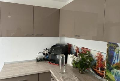 Casă cu 4 camere în Brestei - 6