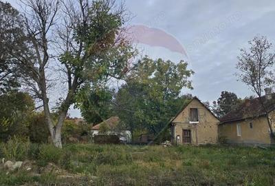 Teren generos cu potential in comuna Silindia, judetul Arad - 6