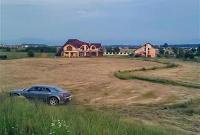 Teren Construcții intravilan de 30000 mp, în Exterior Est - 35