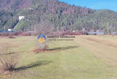 TEREN intravilan  4488 mp - PANGĂRAȚI - 7