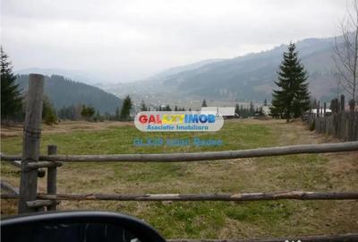 Teren de 12730 mp, în Vatra Dornei - 8