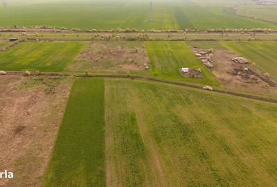 Teren de 6150 mp, în Livada - 1