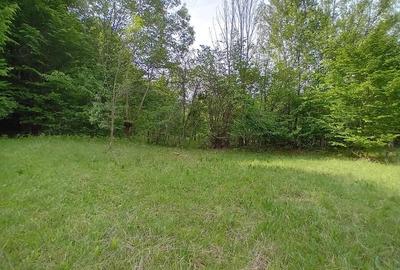 Teren de vanzare in Bradulet Arges - 7