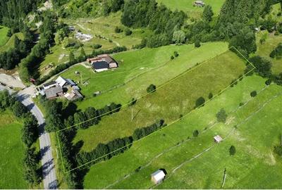 Teren intravilan 6527 mp Stulpicani - Bucovina - 2