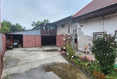 Proprietate de Vanzare 2 Case + Atelier Auto Func?ional + Anexe Zona Chi?odei, Timi?oara - 4
