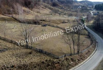 Teren de 4681 mp, în Bărăști - 12