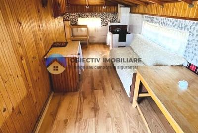 CASĂ cu teren 4.262 mp – Comuna BORLEȘTI, judetul NEAMȚ - 9