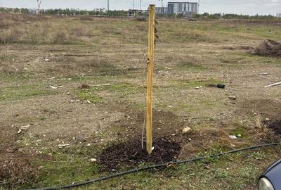 Spațiu comercial, în Theodor Pallady - 3