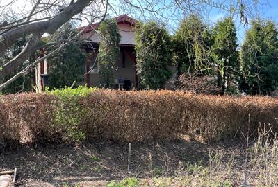 Casa -3 camere , Gruiu - Calarasi,  teren 1476 mp - 4