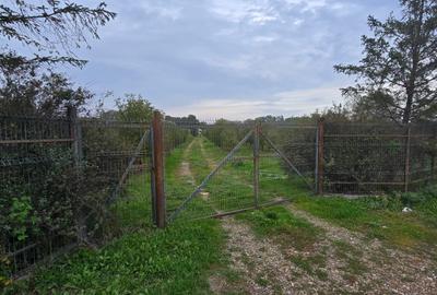 LIVADA  DE VANZARE FOCSANI-DUMBRAVITA  1,8  HA - 8