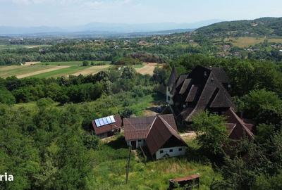 Casă cu 4 camere în Vad - 6