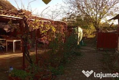 Casă cu 4 camere cu Teren 1215 Mp în Crăciunelu de Jos - 1