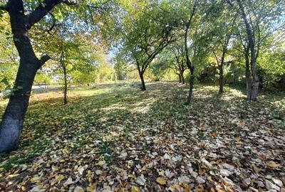 Oaza de liniste: Proprietate generoasa cu poten?ial de Investi?ie Locuin?a - 8