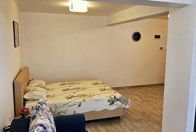 Apartament 1 camera Mazepa bloc Roka - 5