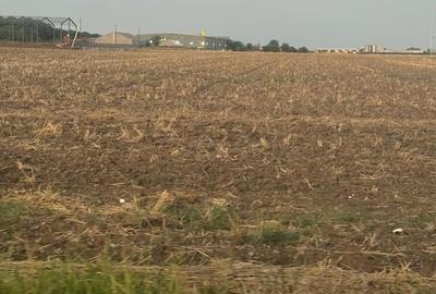 Teren în Brănești - 4