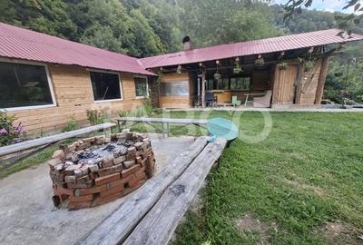 Spatiu de vanzare in Valea Macesului judel Valcea iesire la Lotru - 31