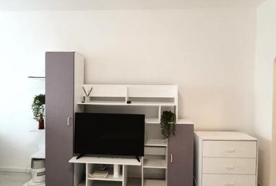 Garsonieră semidecomandată în Dristor - 10