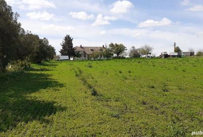 Casă cu 7 camere în Brastavățu - 5