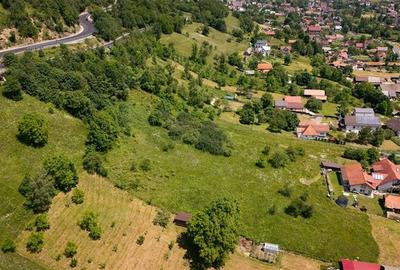 FILM!View superb catre munti,teren pretabil constructie Hotel,4.400 mp, Moieciu - 40
