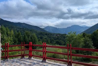 Casă cu 6 camere cu Teren 5600 Mp în Lepșa - 1