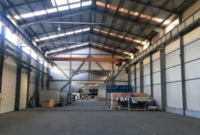 DEPOZIT LOGISTIC GHIMBAV - 3700 MP CU POD RULANT - 4