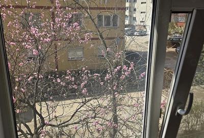Garsonieră nedecomandată în Calea Caransebeșului - 1