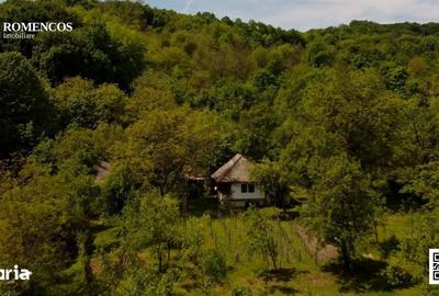 Teren de 1000 mp, în Stâlpeni - 6