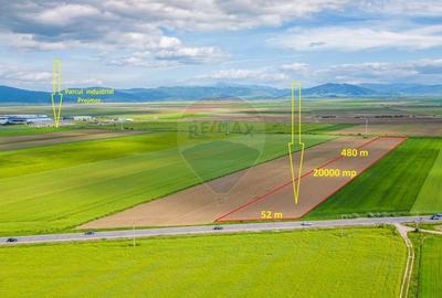Teren intravilan cu PUZ, 20000 mp, Harman, DN 11 - 2