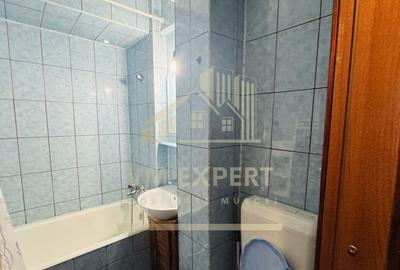 GARSONIERA DECOMANDATA CONFORT 1 ETAJ 4 CAMPULUNG VI?OI - 12