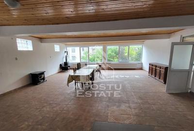 Casa ideala pentru birouri/alte activitati Mehala - 22